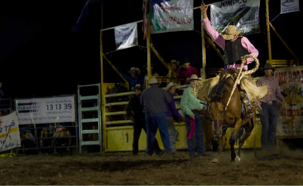 BULL ‘N’ BRONC: Angus Rigney of the Northern Territory hangs on for dear life at Gympie Showgrounds. BULL ‘N’ BRONC: Angus Rigney of the Northern Territory hangs on for dear life at Gympie Showgrounds.